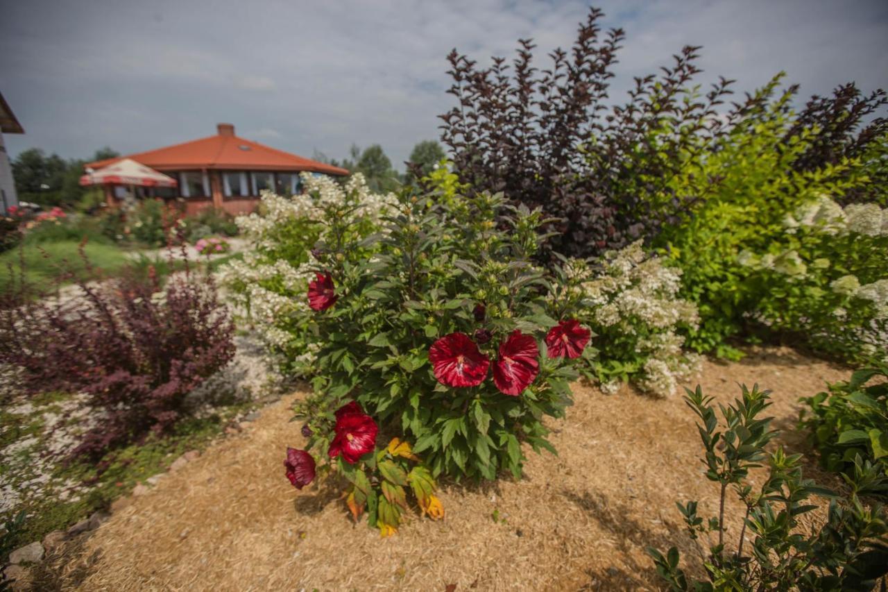 Rezydencja Pod Pieprzowkami Zalesie Gorzyckie Dış mekan fotoğraf